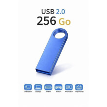 TECHTA Clé USB 2.0 - OR - 256 Go - Stockage Rotation Disque Mémoire Stick