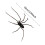 3D Spider Fridge Magnet Realistic Cute 1 Piece 3