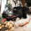 Dog Muzzle Soft Breathable Adjustable for Small Medium 7