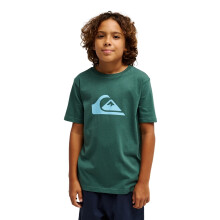 (14 Yrs, Forest) Quiksilver Kids EV Comp Logo Short Sleeve T-Shirt