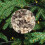 Green Sand Floral Ceramic Christmas Ornament Two-Sided 1 5