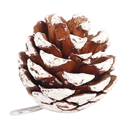 Natural Pine Cones with White Edges 9 Pcs 2