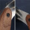 Leather Roller, 60Mm Wide Inclined Roller & Handle for Leathercraft, Bookbinding, DIY Leather Working 4