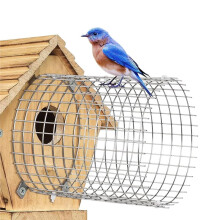 2Pcs Bluebird House Protector Guards, Bird House Entrance,for the Secure of Eastern Bluebird Homes and Their Chicks