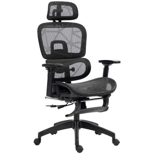 Multi-Adjustable Mesh Office Chair - Black 1