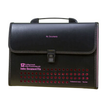 File Folder Accordion Bag A4 12-Pocket Polypropylene