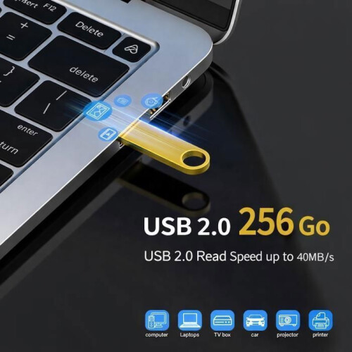 Clé USB - TECHTA - TECHTA USB 2.0 256 Go - USB 2.0 - 256 Go - Boîtier métal 1
