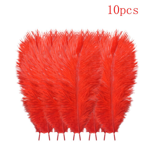 Ostrich Feathers Multicolor 10 pcs for Wedding Decor