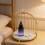 Wrought Iron Gold Birdcage Stand 10x8in 4