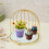 Wrought Iron Gold Birdcage Stand 10x8in 5