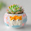 Dog Pattern Silicone Mold for Succulent Pots and Home Decor 3