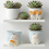 Dog Pattern Silicone Mold for Succulent Pots and Home Decor 6