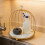 Wrought Iron Gold Birdcage Stand 10x8in 6