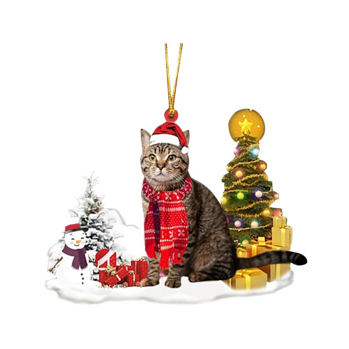 Christmas Cat Ornament Acrylic 2D Red Hat 3.14 inch