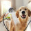 Feledorashia Pet Shower Head Three-Speed Booster 1