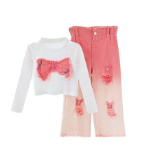 Pink 2-Piece Set Long Sleeve Crop Top and Ombre Wide Leg