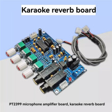 Carte Amplificateur de Microphone Numérique Double AC12 V PT2399, Carte de Réverbération, Module Amplificateur Karaoké OK, Électronique DIY