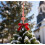 Christmas Tree Topper Velvet 11 inches 1