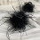 Elegant Hair Clip Set Mesh Feather Shark Clip 2