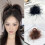 Elegant Hair Clip Set Mesh Feather Shark Clip 3