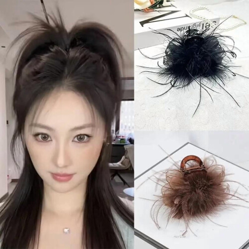 Elegant Hair Clip Set Mesh Feather Shark Clip 2