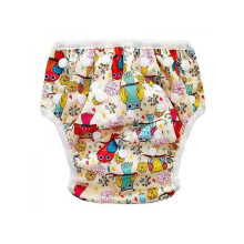 Reusable Absorbent Swim Diaper for Babies and Toddlers