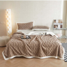 Tupukom Queen Blanket Winter Warm Reversible Furry Cover