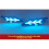 LED Tagfahrlicht für   2005-2008 Frontstoßstange Licht Blinker Zubehör 7