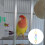 Bird Climbing Swing Rings for Small Birds 5