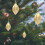 Christmas Tree Ornaments Gold Starpeach-Shaped Plastic 5