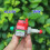 ULKA NME4 AC Electromagnetic Plunger Pump 16W 220-240V 1