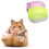 Dwarf Hamster Sand Bath House for Small Pets Clear 3