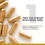 Premier Research Labs Premier Research Labs CardioVen Vegans 60 Capsules 3