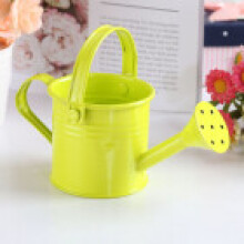 (Light Green)Mini hervidor de agua pulverizador de agua maceta de metal botella de riego decoración del hogar jardín