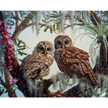 (Color17) Oil Diy Painting Paint By Numbers Digital Hand Painted Paintings Gift Decoration