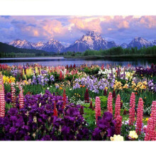 (Color5) Oil Diy Painting Paint By Numbers Digital Hand Painted Paintings Gift Decoration