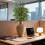 PreLit Pine Branches for Vase 5 Pcs 6