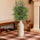 PreLit Pine Branches for Vase 5 Pcs 5
