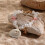 Shell and Pearl Beaded Bracelet with Starfish Charm 3