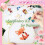 Friendship Bracelet String Cotton Floss 50 Skeins Rainbow 7