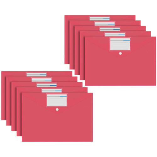 A4 Plastic Folder Organizer 10-Pack with Label Pocket