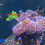 Floating Fish Tank Decorations Light Green Diver Design 4