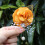 Purple Artificial Rose Wrist Corsage with Pearl 8