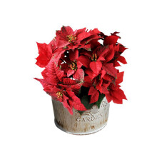 2X Country Retro Old Metal Flower Bucket Flower Metal Iron Bucket Small Flower Pot