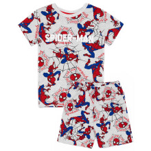 (3-4 Years) Marvel Spiderman Short Sleeve Short Leg Pyjama Set (Boys Grey)