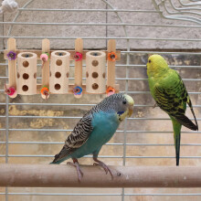 Parakeet Foraging Feeder Wooden Toy 1 Pack
