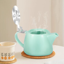 Japanese-Style Ceramic Teapot 550ml with Detachable Infuser
