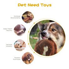 5Pcs Dog Squeaky Toys, No Stuffing Plush Dogs Chew Toy for Small Medium Large Breed Chewer Squeak Pets Suppies,A