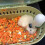 Transparent Hamster Carrier Large Size for Small Animals 8