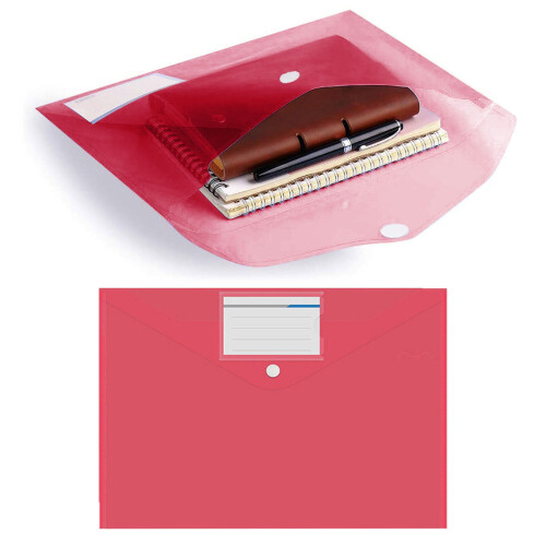 A4 Plastic Folder Organizer 10-Pack with Label Pocket 1